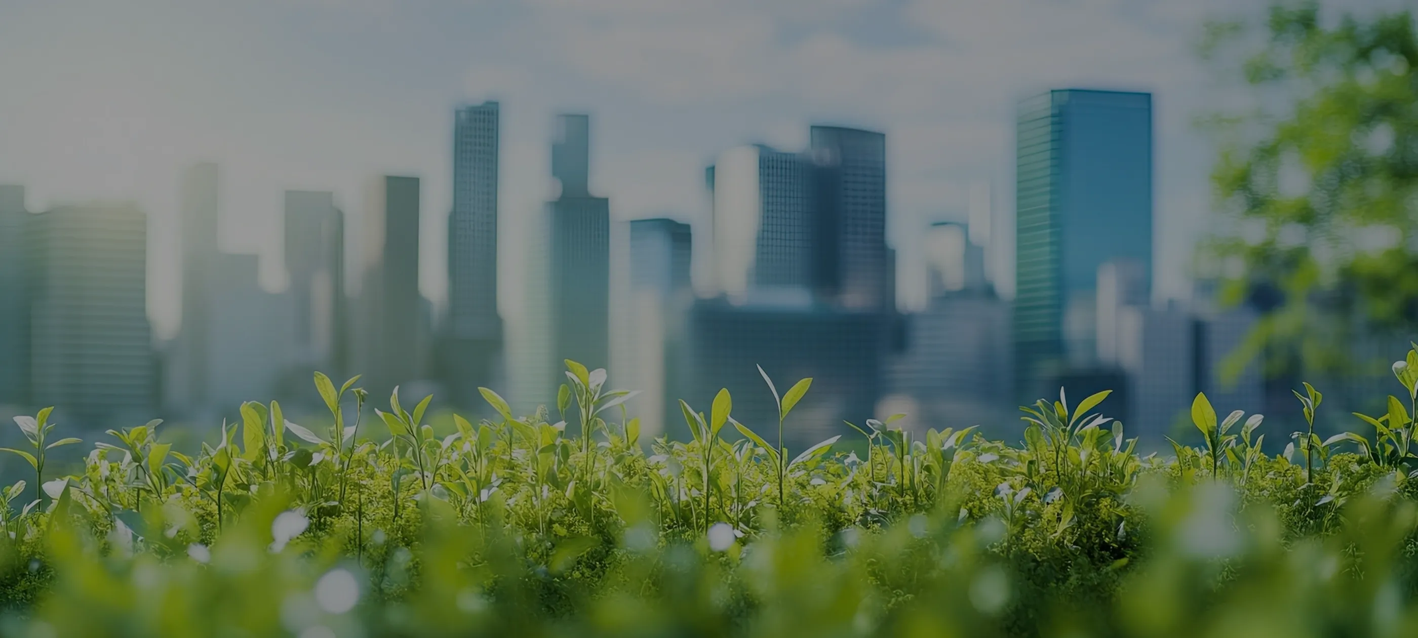 サステナビリティ